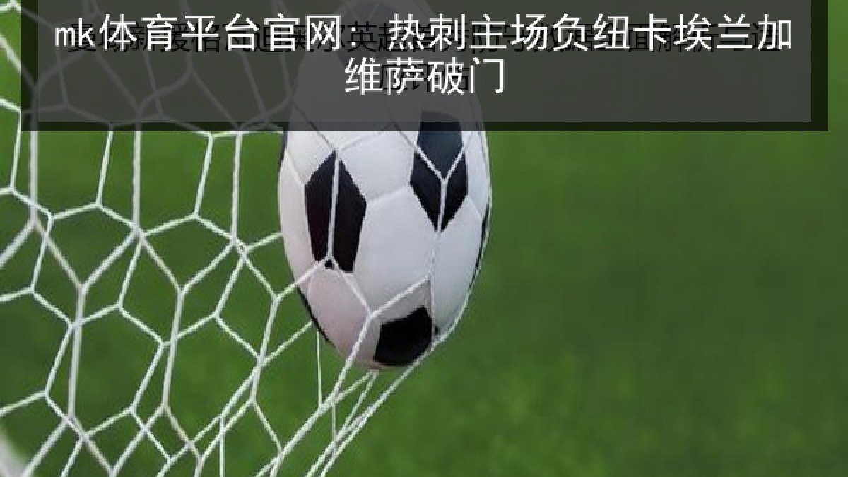 mk体育平台官网: 热刺主场负纽卡埃兰加维萨破门